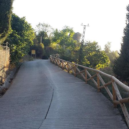 Alojamiento Rural La Casilla Cazorla Exterior foto